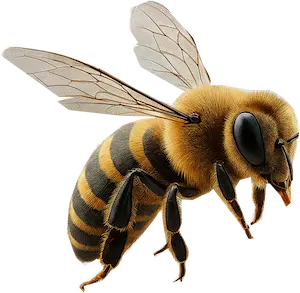 Servicios de apiterapeuta