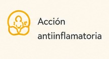 Acción antiflamatoria de la apitoxina