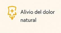 La apitoxina alivia naturalmente el dolor
