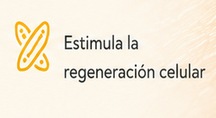 La apitoxina estimula la regeneración celular